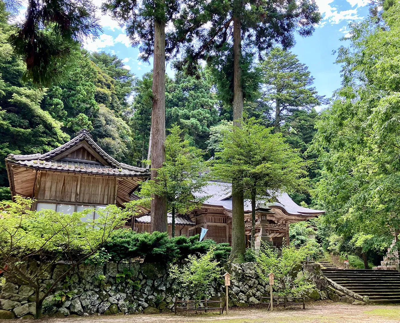 木々に包まれた境内と拝殿