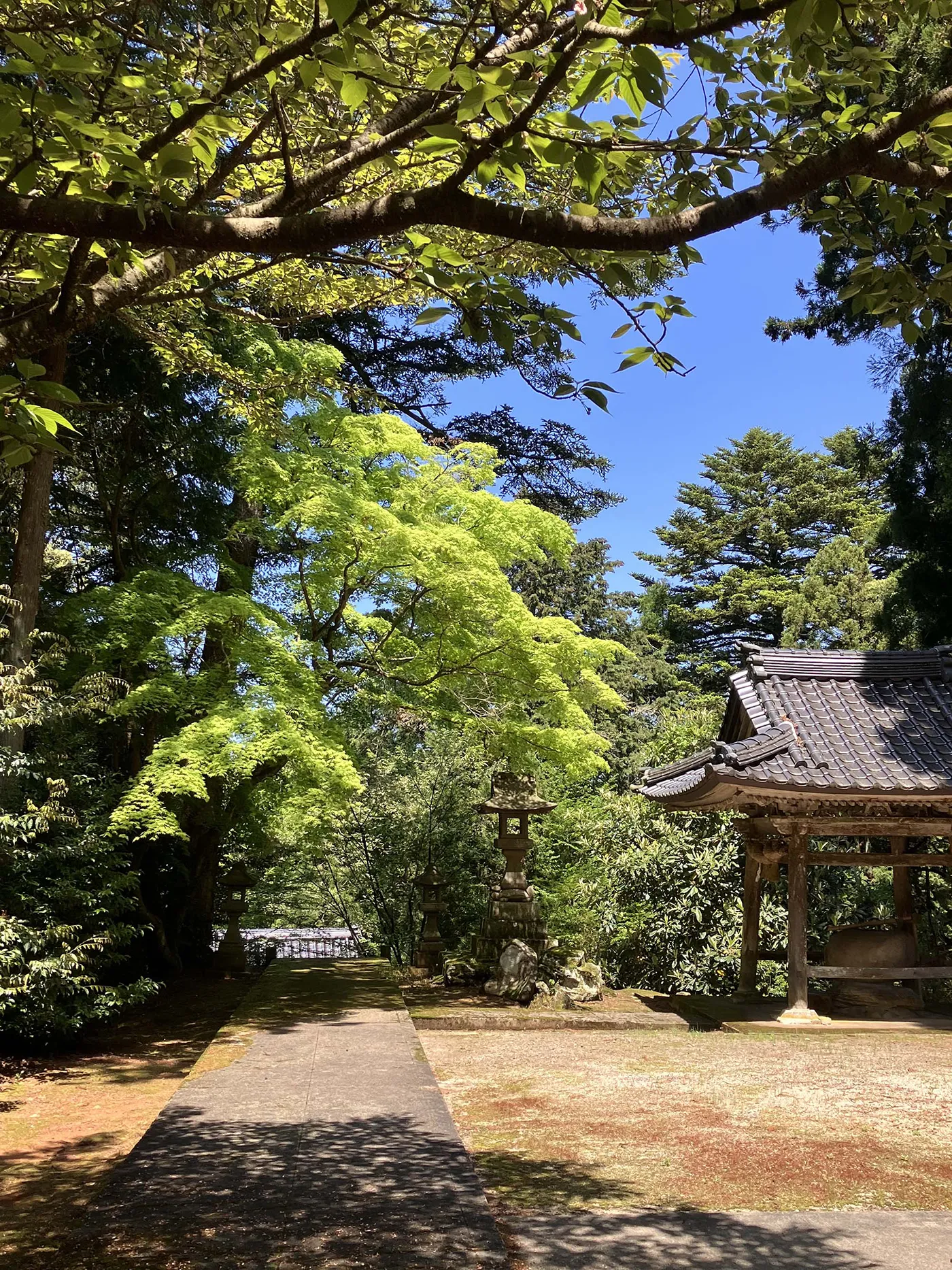 木々と青空に包まれた境内