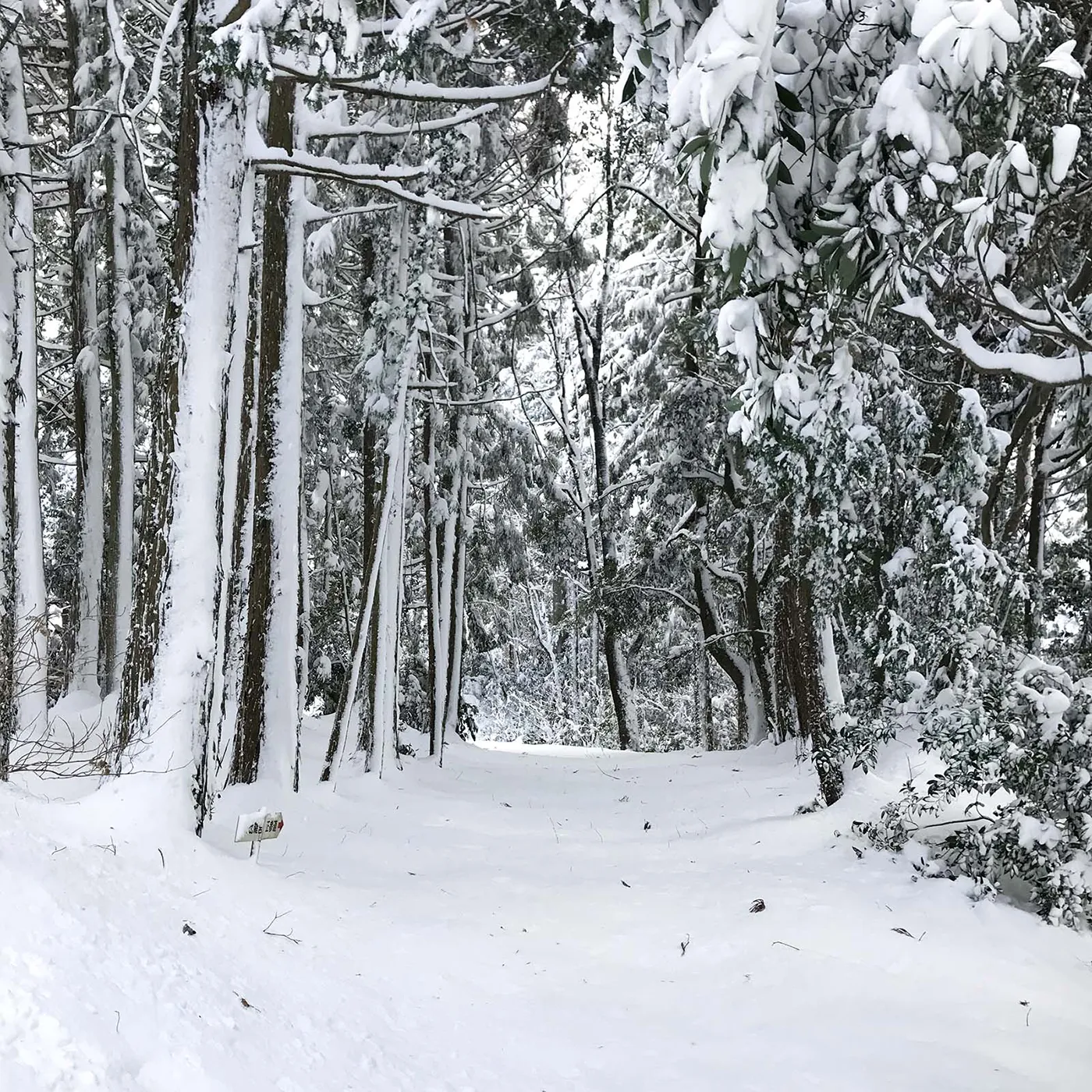 富士加瀬の雪景色