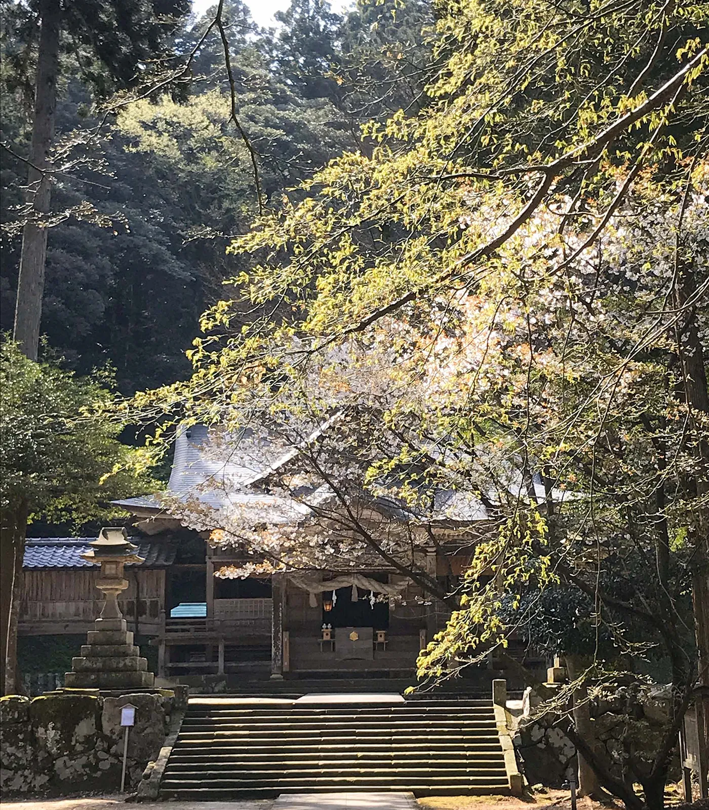出雲金刀比羅宮 祈年祭の拝殿