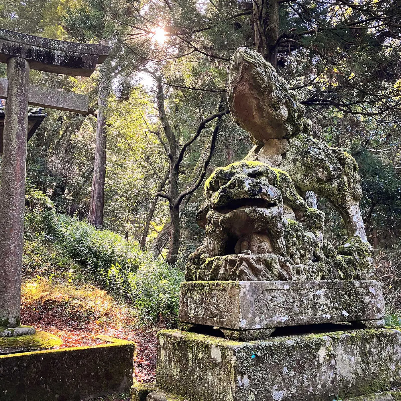 子狛犬を抱えた出雲金刀比羅宮の右の狛犬