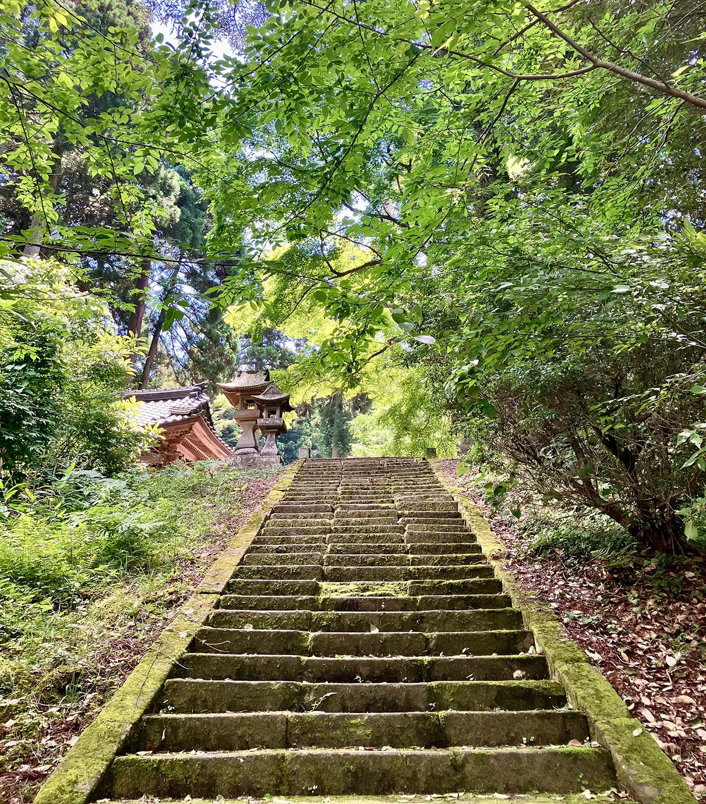 木々に包まれた石段