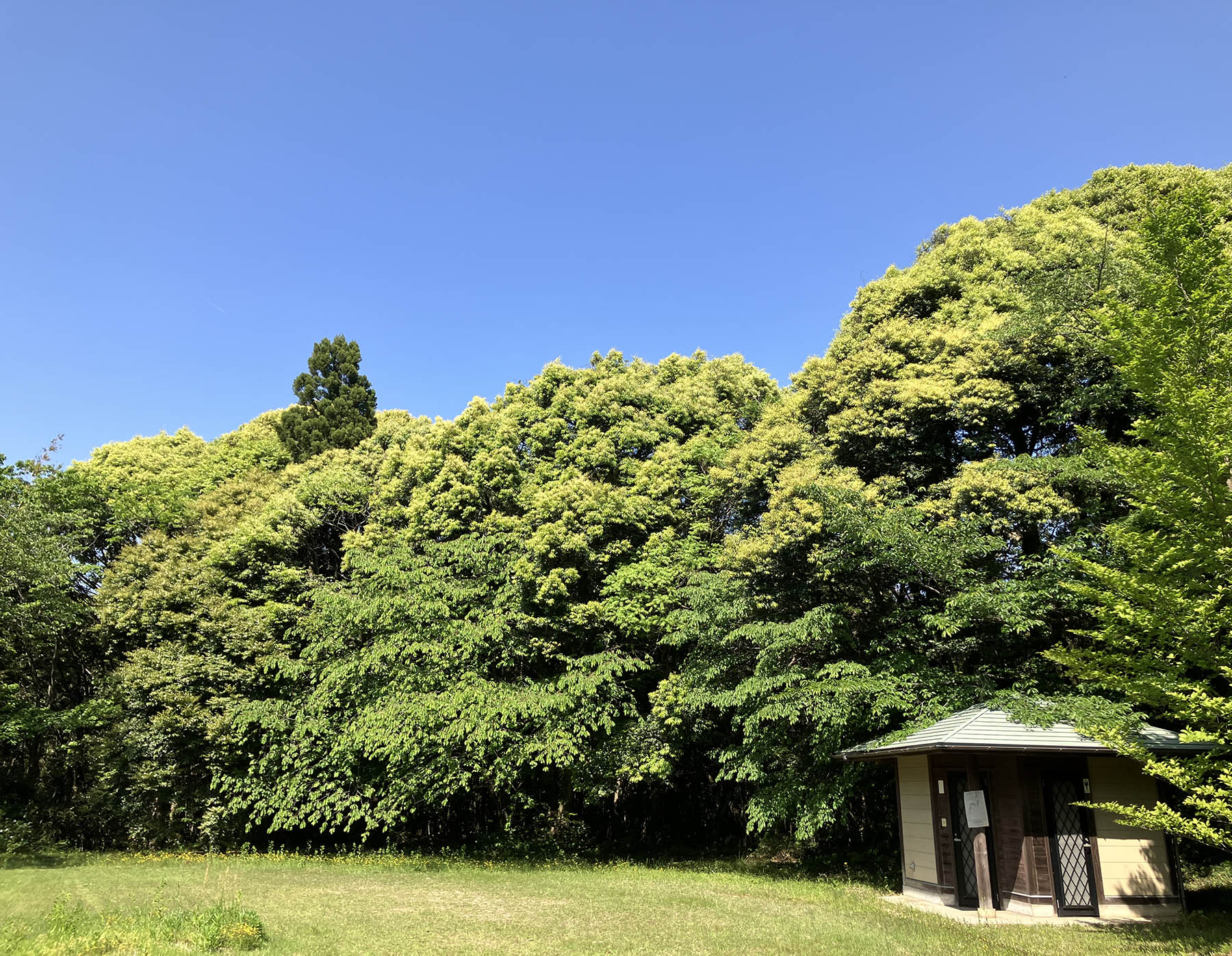 富士賀瀬の自然の中で